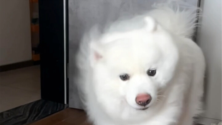 Mượt mà đến thế, chắc hẳn là dùng P&G rồi nhỉ?