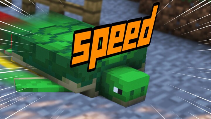 This is the REAL ending of the Tortoise and the Hare race!!!