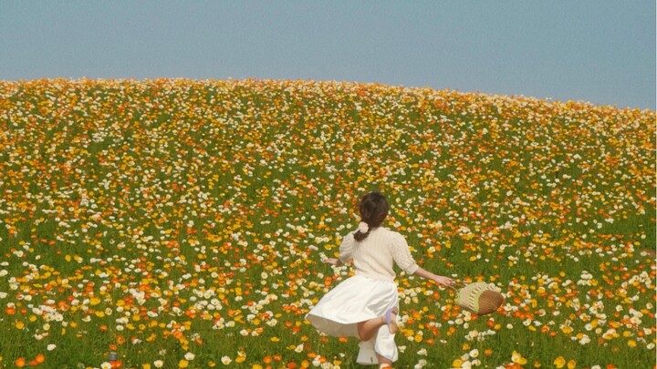 I captured the hillside in full bloom with poppies.