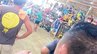 talisay 8months old 16k win vs binabae  60k magulang at maganda