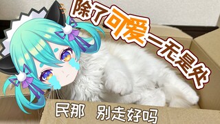 【猫雷】无 所 不 能 小 猫 雷