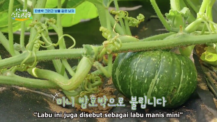 fresh off the sea S1(IND) ep.2