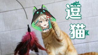 虚拟主播每日放送：《逗猫》