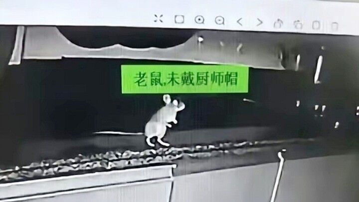"Without a Chef's Hat"
