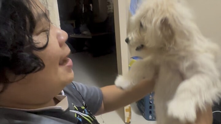 🎤 Kinantahan Ko ang Aso Ko… Ang Cute ng Reaksyon! 🐶😂