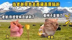 当老爸带我去西藏高原旅游