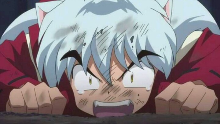 Adakah yang menghitung berapa kali InuYasha duduk sambil menonton?