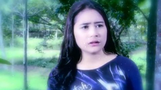 261 Ganteng-Ganteng Serigala
