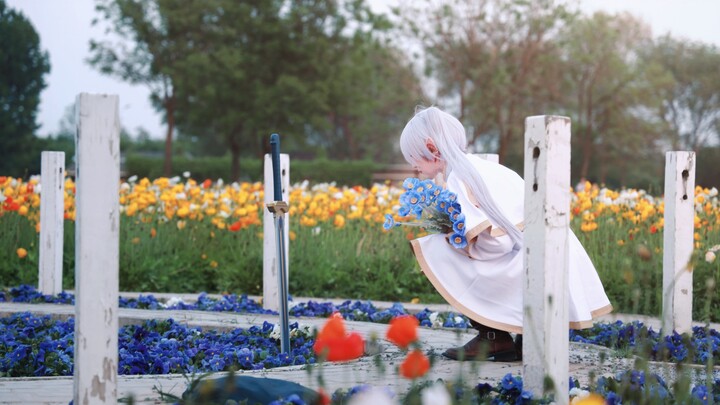 [Flilian cos] I'm late, Xin Meier