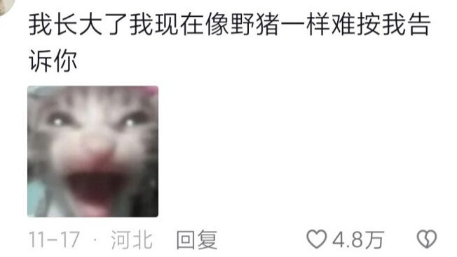 ประสบการณ์แบบมองเห็นจากมุมมองบุคคลที่หนึ่งอย่างดื่มด่ำกับการผสมยาของพยาบาล