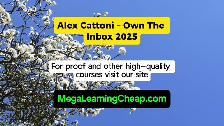 Alex Cattoni – Own The Inbox 2025