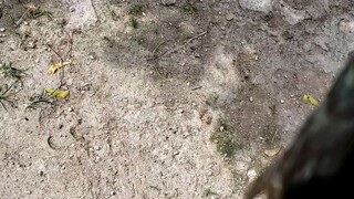 Pulang Latom VS. Balaw(weekly sparring)