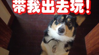 快乐的一天！！！！！！！第一次拍VLOG