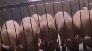 bastat may pagkakaisa kaya natin to.