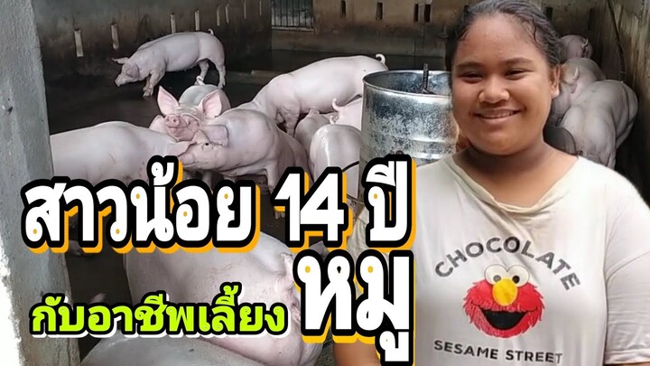 สาวน้อย 14 ปี กับอาชีพเลี้ยงหมู เน้นสุขลักษณะคอก จุลินทรีย์ดับกลิ่นไล่แมลงวัน