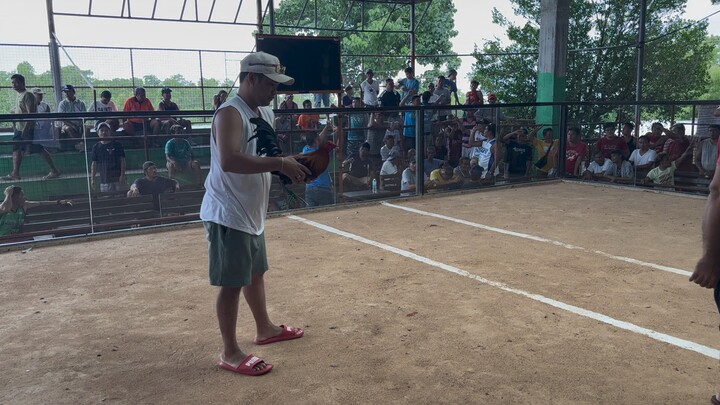 My Sbr x bostonrh 50-50 W