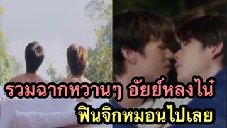 รวมฉากรักหวานๆ อัยย์หลงไน๋ ฟินจิกหมอนไปเลย🐺🐼❤️#มีนปิง #area86