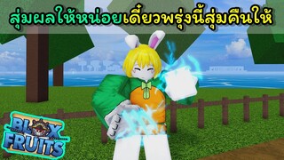 สุ่มผลให้หน่อยเดี๋ยวพรุ่งนี้สุ่มคืนให้ [Blox Fruits]