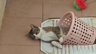 Tantangan tertawa selama sembilan menit