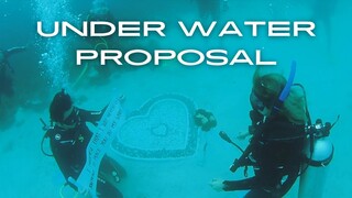 Surprise Underwater Marriage Proposal Archives | RATY ft LIN