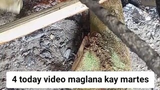 maglana ta ug lubi nga laya Kay martes