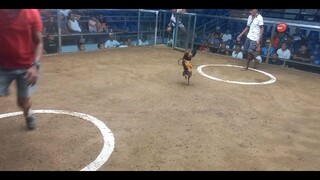 2hits SMSCA 2nd fight hatch Dom 2xwinner Win