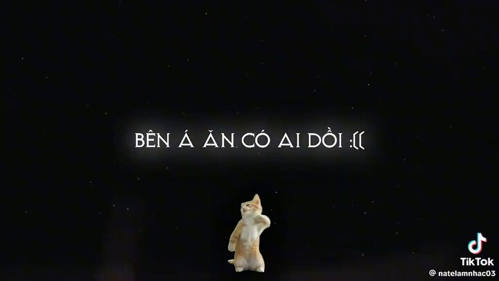 JY vnxk