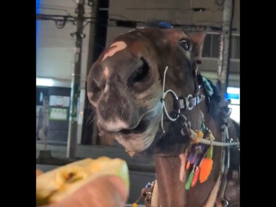 还是城里的苹果好吃