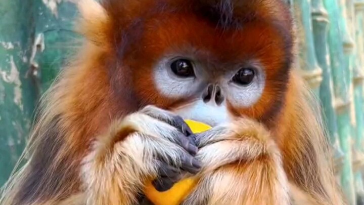 Hãy tìm hiểu kiểu "trước khổ sau sướng" nào!