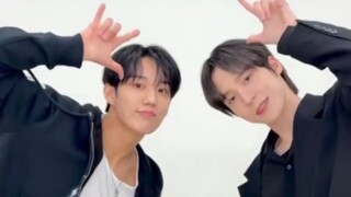 Tipei's Large Dog "Killin' It" Challenge [ATEEZ Jung Yunho & P1Harmony Hwang In-tak]