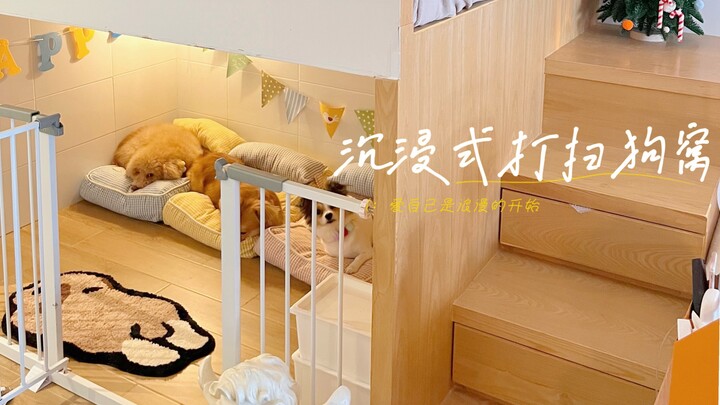 沉浸式打扫狗窝 | 跟狗狗上下铺真的很好