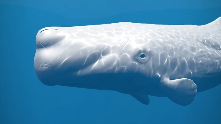 Muntahan paus bernilai mahal