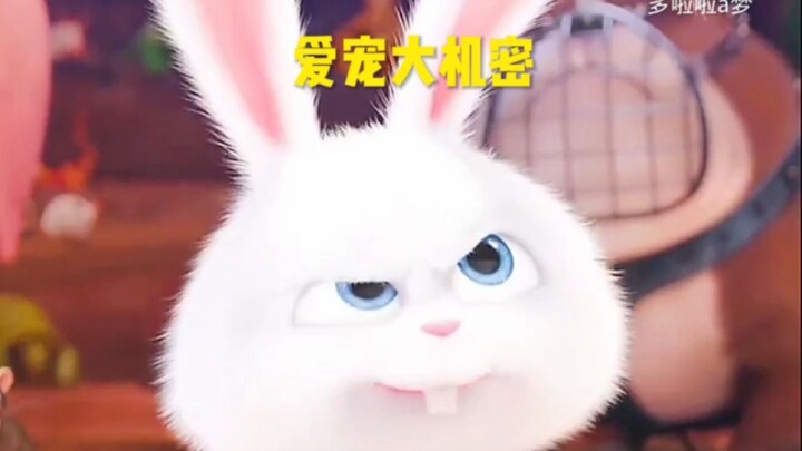 You’d never guess what this little bunny really is… Thanks for liking and subscribing!