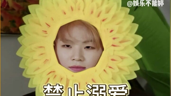 Harimau terakhir Korea dan dua belas rekan setimnya yang mirip Wu Song #seventeen# lucu#Kwon Seunghy