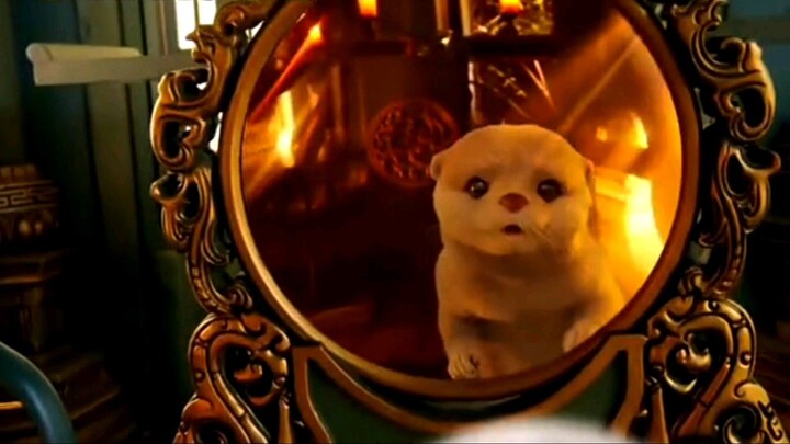 Gadis cantik ini tiba2 b3rubah jadi berang-berang