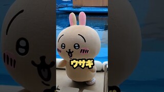 ちいかわ水族館に行ってハチワレに発狂するアラサー男子www　#ちいかわ　#ちいかわ水族館 #仙台 #ハチワレ #ウサギ #ちい活