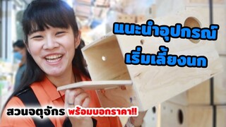 แนะนำอุปกรณ์การเลี้ยงนก สำหรับมือใหม่!