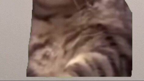 ในการสอบเข้ามหาวิทยาลัยปี 2020 ฉันได้คะแนน 336 คะแนน ฉันไม่ยอมแพ้และยืนกรานที่จะเรียนซ้ำชั้นอีกปี คร