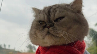 四川下雪了，带妈耶去看雪