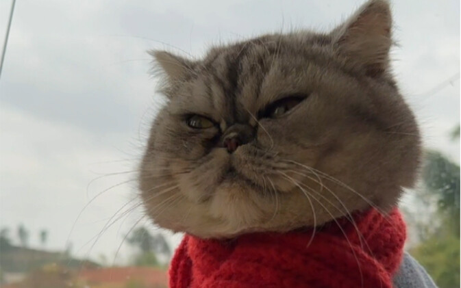 四川下雪了，带妈耶去看雪