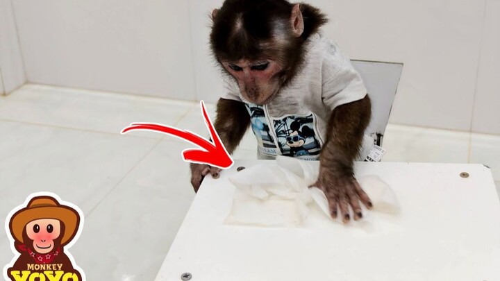 YoYo yang punya kebersihan tinggi! Setelah makan, tentu aja meja harus dibersihkan dulu!