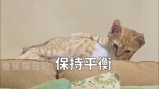 我的不被理解的小众爱好