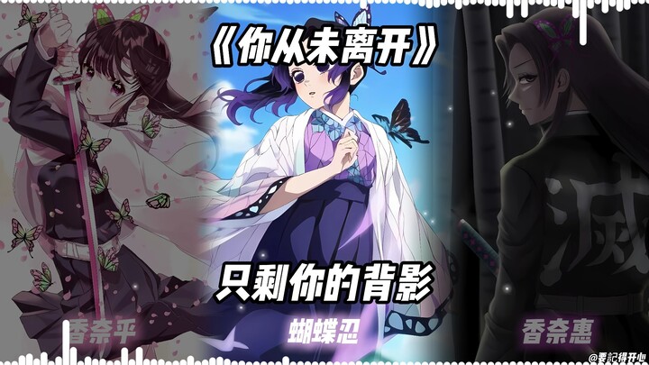 Butterfly Sisters "You Never Left"