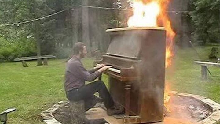 Funny Foreign Video Roundup & Animal Confusion Awards #121