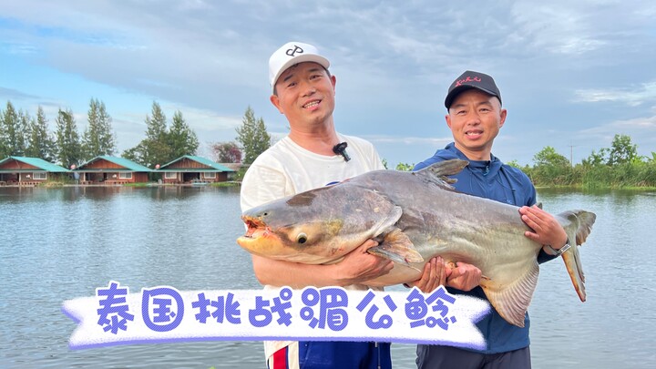Challenging the Giant Mekong Catfish of Thailand