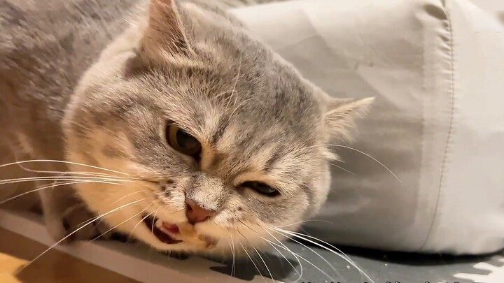 The secret cooking was discovered