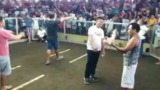whiteArmalite, hirap manalo sa Galleria.
