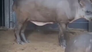 ਲੋੜਾਂ ਸੁਰ