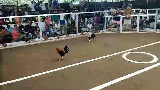 1stfyt lose entry name(Jemz