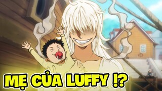 Mẹ của Luffy cuối cùng đã được tiết lộ!? - One Piece